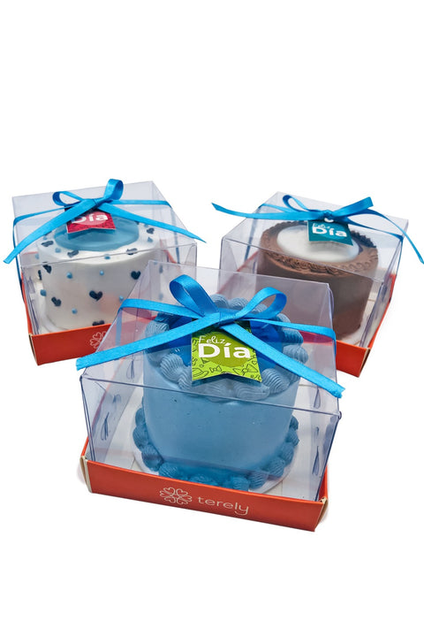 Mini cake dia del padre